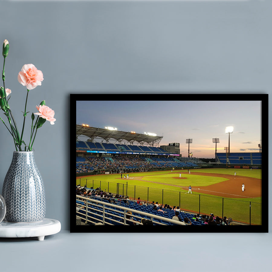 Taoyuan Int'l Baseball Stadium, Stadium Canvas, Sport Art, Gift for him, Framed Art Print Wall Decor, Picture Framed
