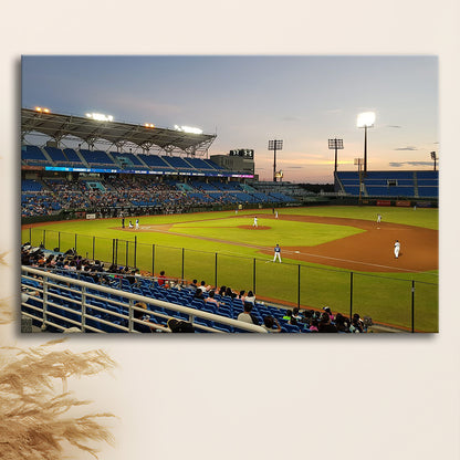 Taoyuan Int'l Baseball Stadium, Stadium Canvas, Sport Art, Gift for him, Man Cave Decor, Art Print, Canvas Print Wall Art