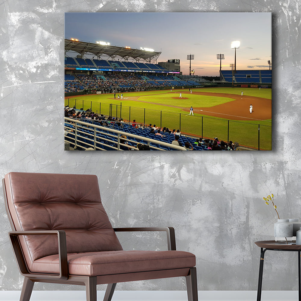 Taoyuan Int'l Baseball Stadium, Stadium Canvas, Sport Art, Gift for him, Man Cave Decor, Art Print, Canvas Print Wall Art