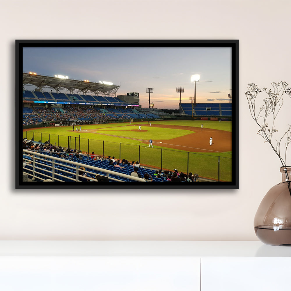 Taoyuan Int'l Baseball Stadium, Stadium Canvas, Sport Art, Framed Canvas Print Wall Art, Floating Frame