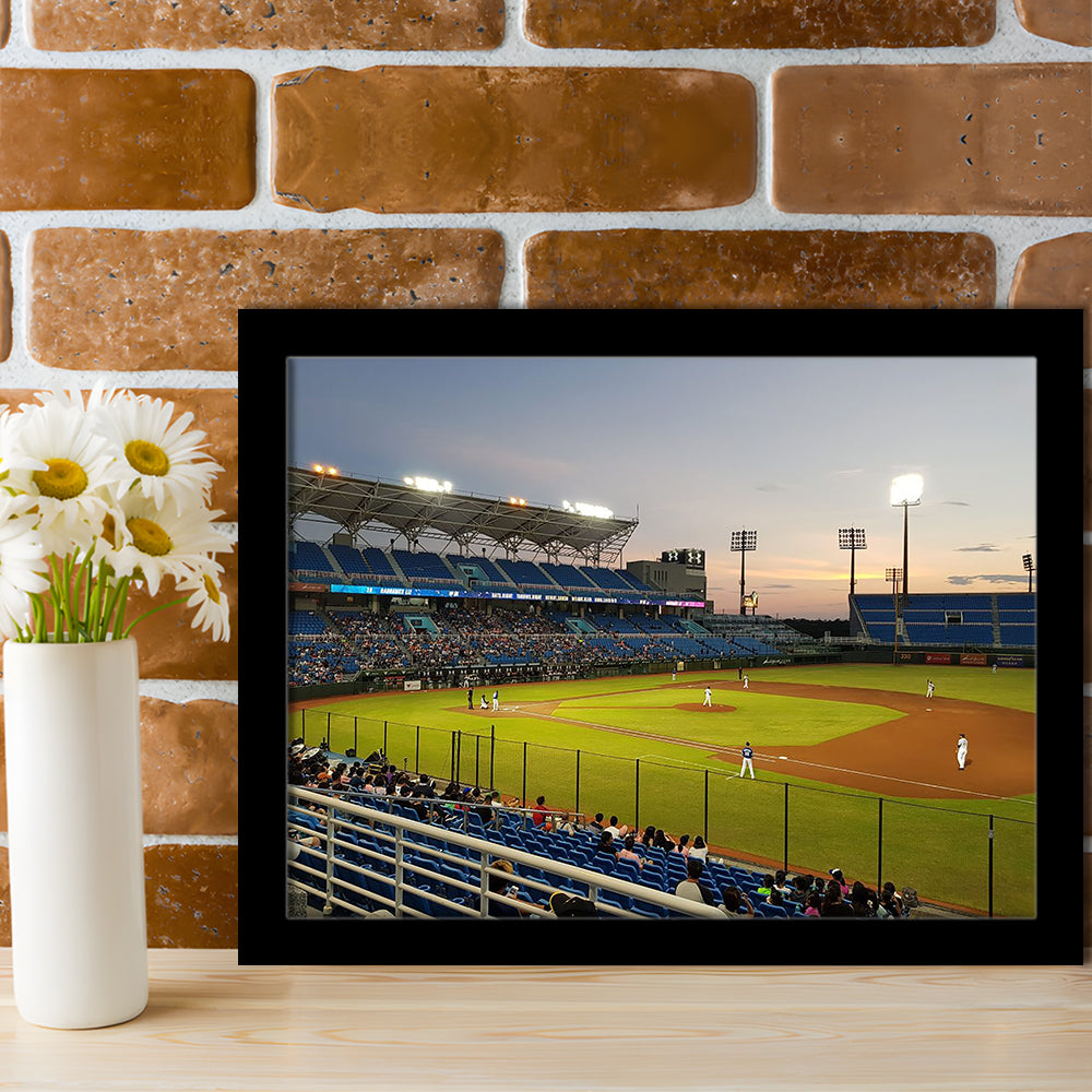 Taoyuan Int'l Baseball Stadium, Stadium Canvas, Sport Art, Gift for him, Framed Art Print Wall Decor, Picture Framed