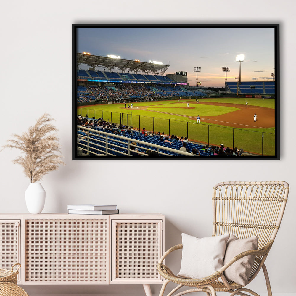 Taoyuan Int'l Baseball Stadium, Stadium Canvas, Sport Art, Framed Canvas Print Wall Art, Floating Frame