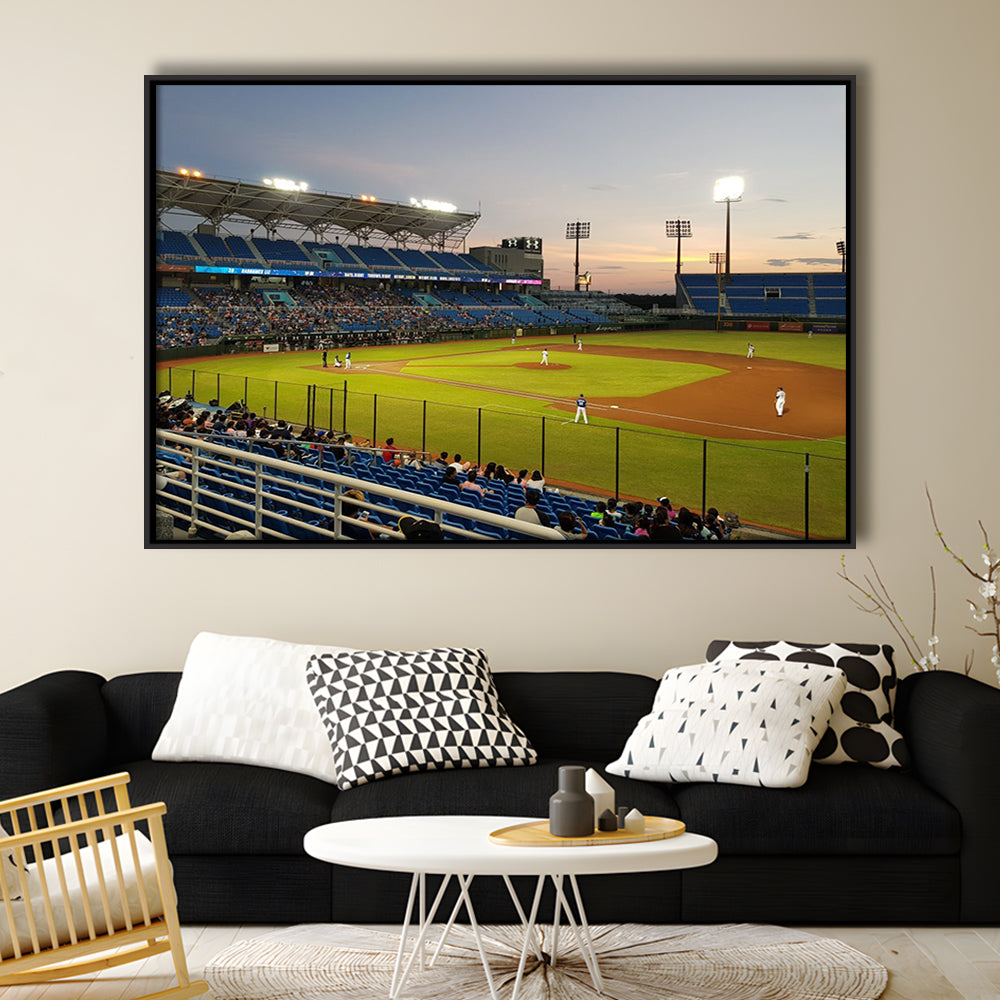Taoyuan Int'l Baseball Stadium, Stadium Canvas, Sport Art, Framed Canvas Print Wall Art, Floating Frame