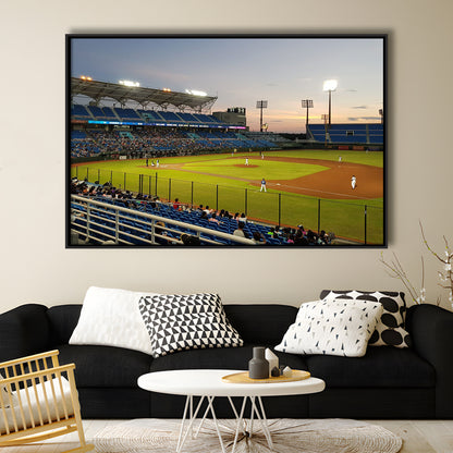 Taoyuan Int'l Baseball Stadium, Stadium Canvas, Sport Art, Framed Canvas Print Wall Art, Floating Frame