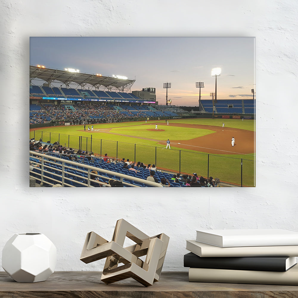 Taoyuan Int'l Baseball Stadium, Stadium Canvas, Sport Art, Gift for him, Man Cave Decor, Art Print, Canvas Print Wall Art