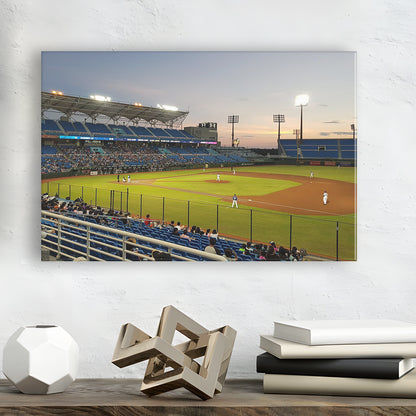 Taoyuan Int'l Baseball Stadium, Stadium Canvas, Sport Art, Gift for him, Man Cave Decor, Art Print, Canvas Print Wall Art