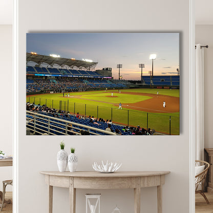Taoyuan Int'l Baseball Stadium, Stadium Canvas, Sport Art, Gift for him, Man Cave Decor, Art Print, Canvas Print Wall Art