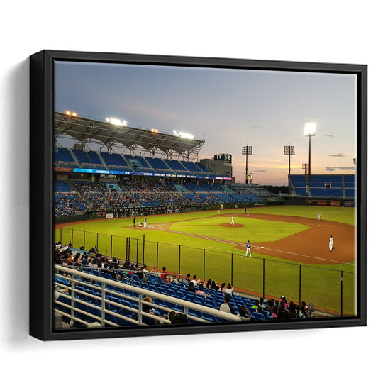 Taoyuan Int'l Baseball Stadium, Stadium Canvas, Sport Art, Framed Canvas Print Wall Art, Floating Frame