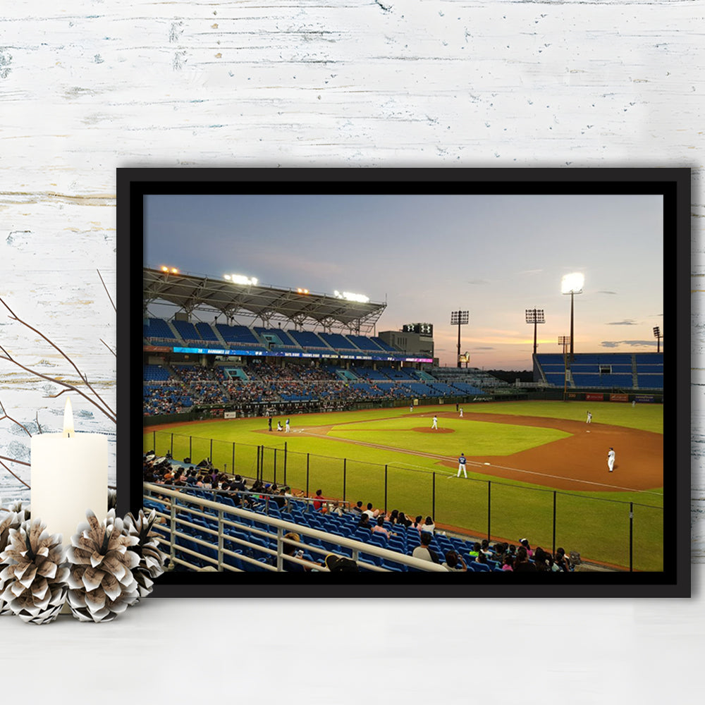 Taoyuan Int'l Baseball Stadium, Stadium Canvas, Sport Art, Framed Canvas Print Wall Art, Floating Frame