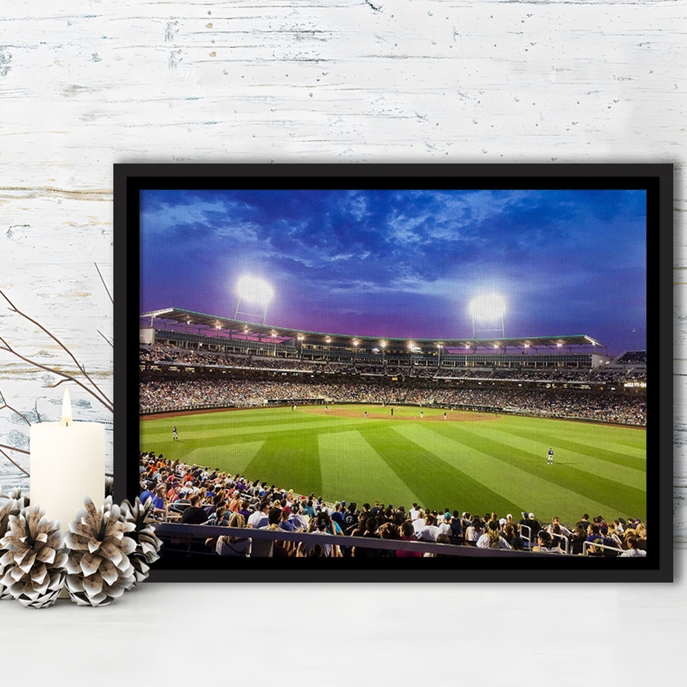 Td Ameritrade Park Omaha, Stadium Canvas, Sport Art, Framed Canvas Print Wall Art, Floating Frame