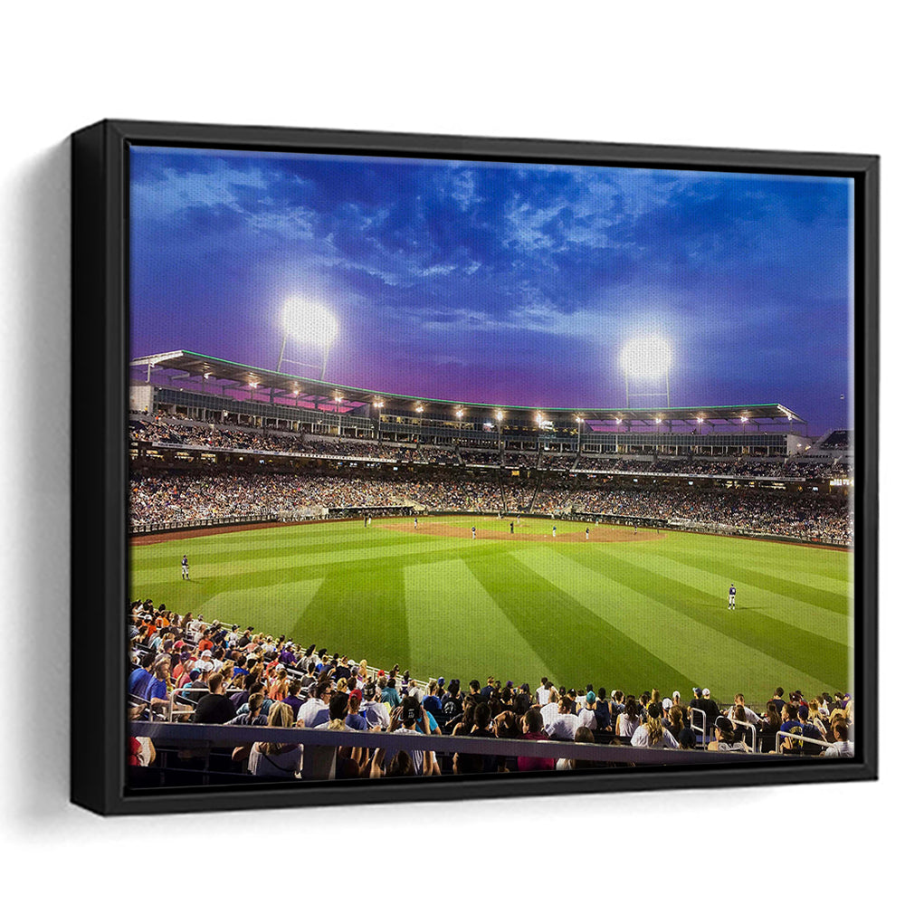 Td Ameritrade Park Omaha, Stadium Canvas, Sport Art, Framed Canvas Print Wall Art, Floating Frame