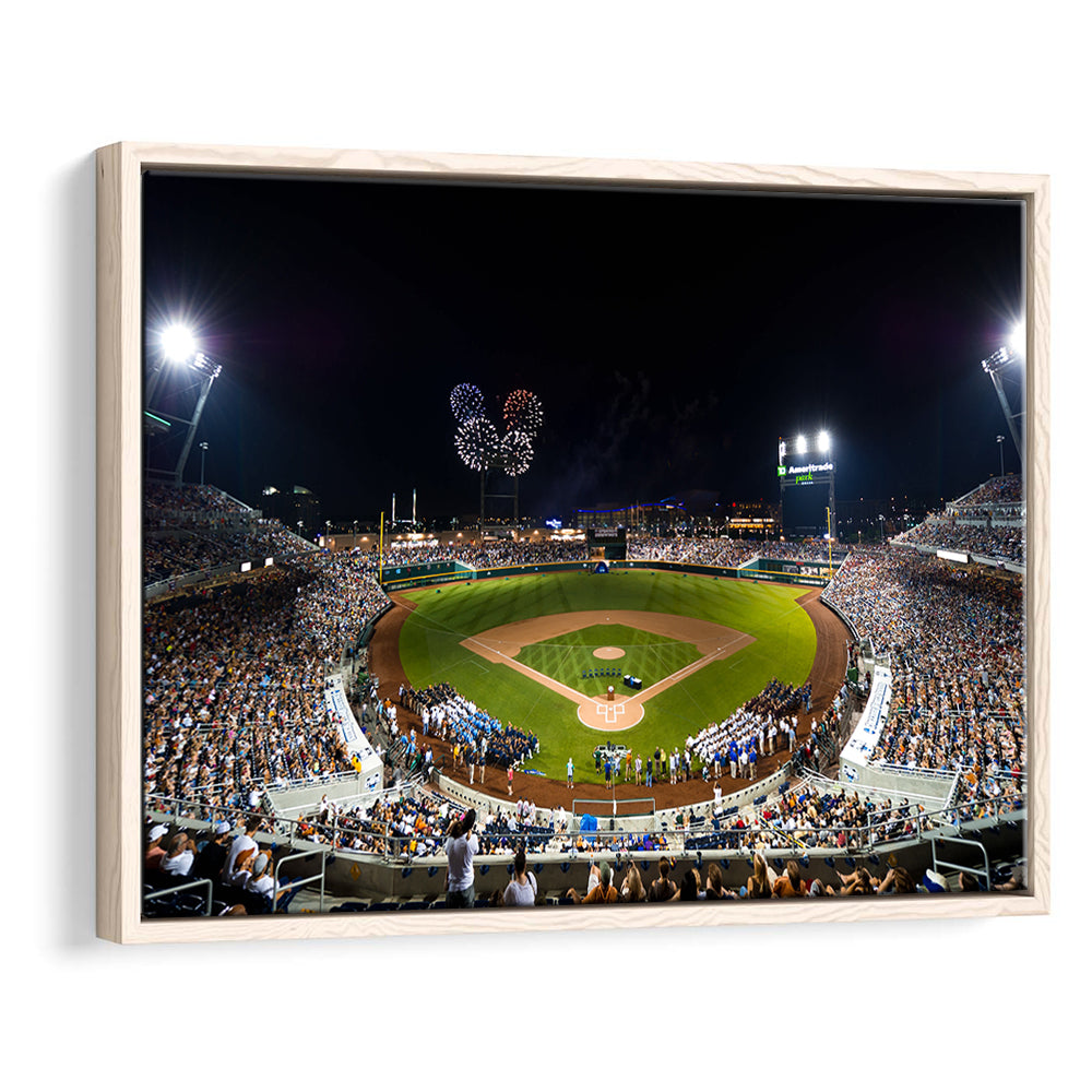 Td Ameritrade Stadium, Stadium Canvas, Sport Art, Framed Canvas Print Wall Art, Floating Frame
