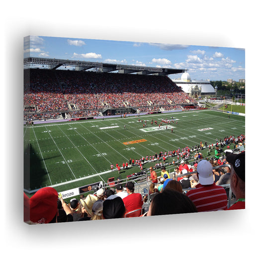 Td Stadium, Stadium Canvas, Sport Art, Gift for him, Man Cave Decor, Art Print, Canvas Print Wall Art