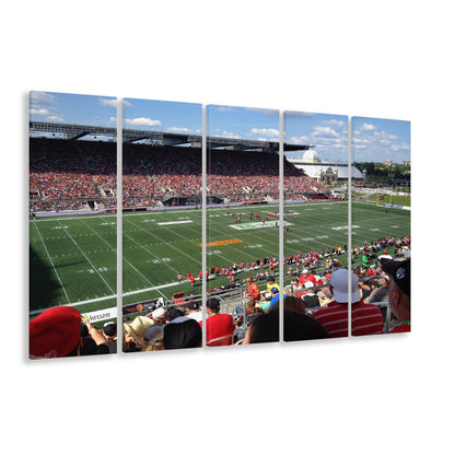 Td Stadium, Stadium Canvas, Sport Art, 5 Panel B, Extra Large Canvas, Canvas Print Wall Art