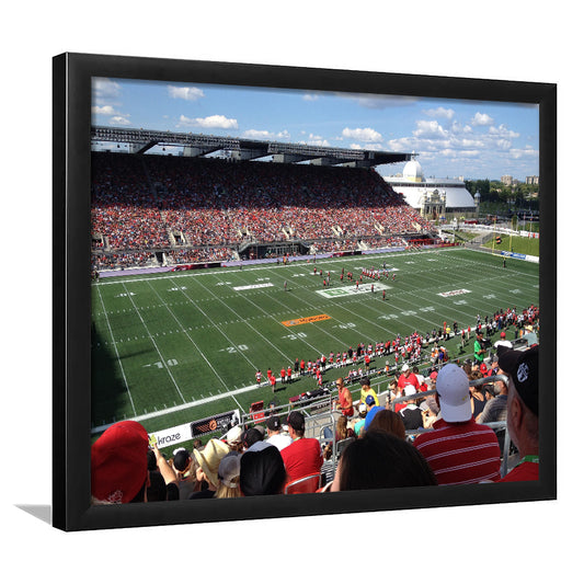 Td Stadium, Stadium Canvas, Sport Art, Gift for him, Framed Art Print Wall Decor, Picture Framed