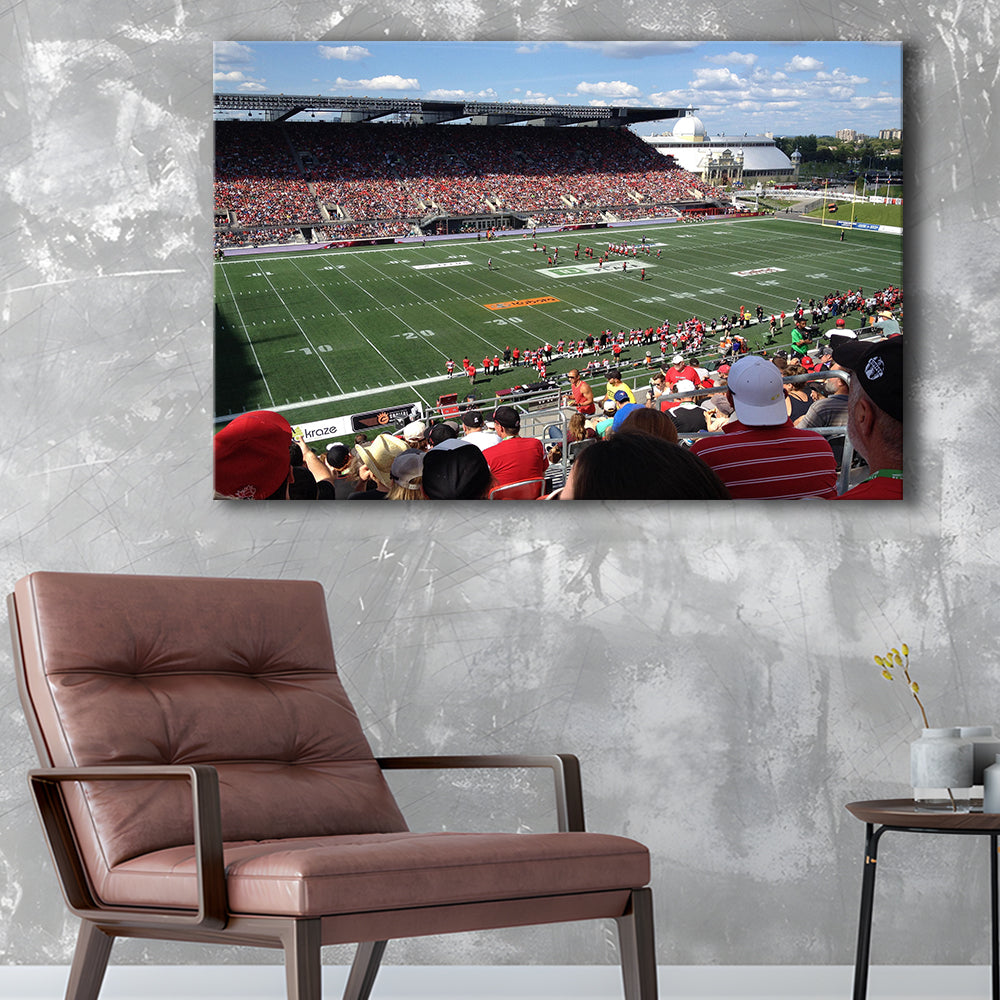 Td Stadium, Stadium Canvas, Sport Art, Gift for him, Man Cave Decor, Art Print, Canvas Print Wall Art