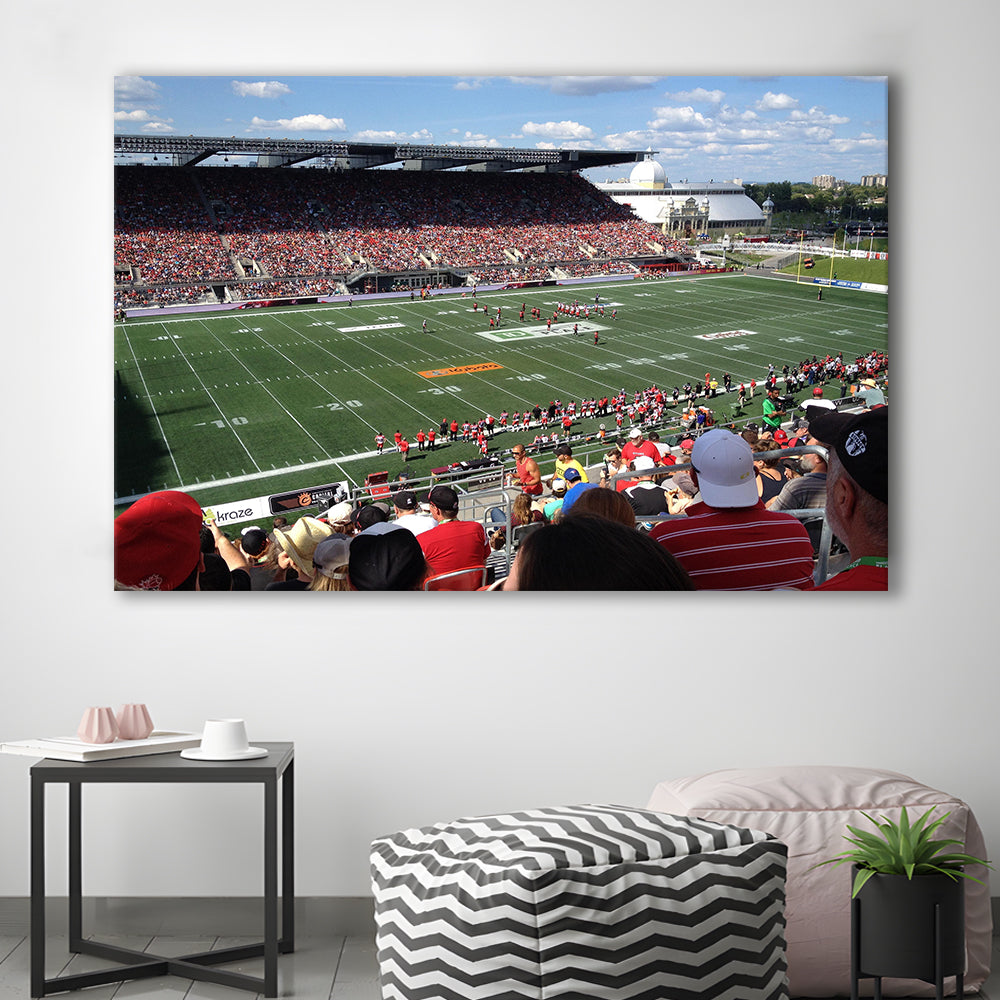 Td Stadium, Stadium Canvas, Sport Art, Gift for him, Man Cave Decor, Art Print, Canvas Print Wall Art