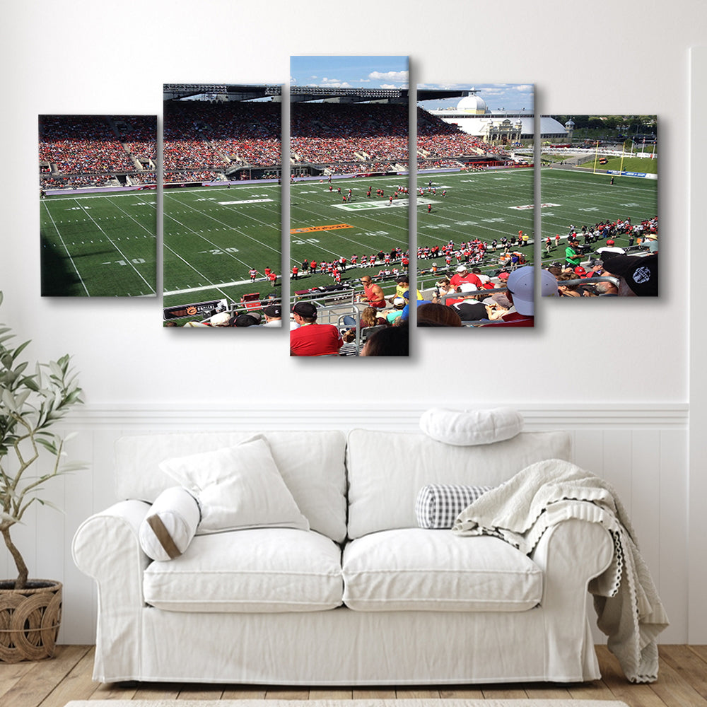 Td Stadium, Stadium Canvas, Sport Art, Gift for him, 5 Panel, Large Canvas, Canvas Print Wall Art