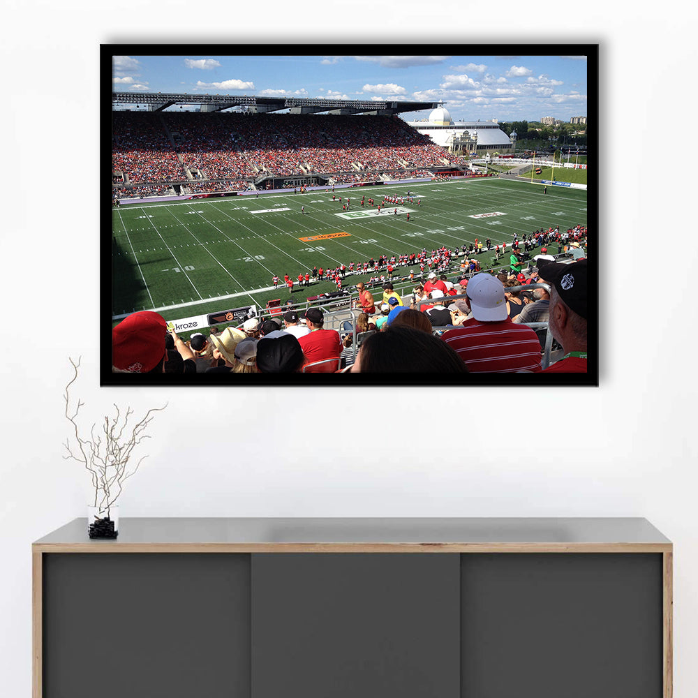 Td Stadium, Stadium Canvas, Sport Art, Gift for him, Framed Art Print Wall Decor, Picture Framed