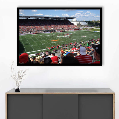 Td Stadium, Stadium Canvas, Sport Art, Gift for him, Framed Art Print Wall Decor, Picture Framed