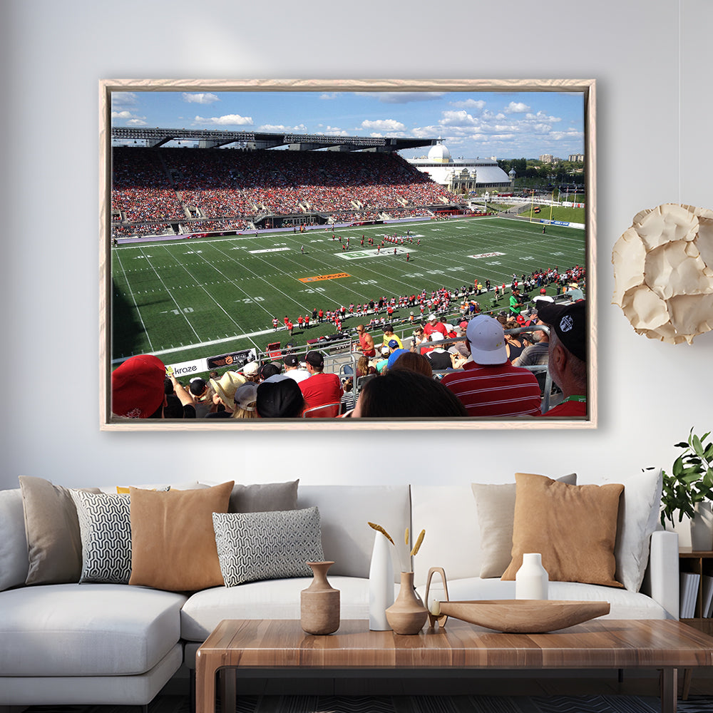 Td Stadium, Stadium Canvas, Sport Art, Framed Canvas Print Wall Art, Floating Frame