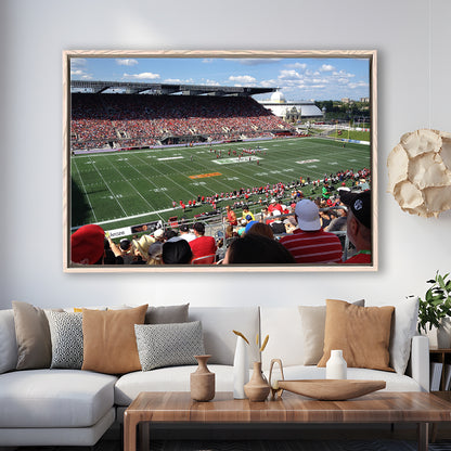 Td Stadium, Stadium Canvas, Sport Art, Framed Canvas Print Wall Art, Floating Frame
