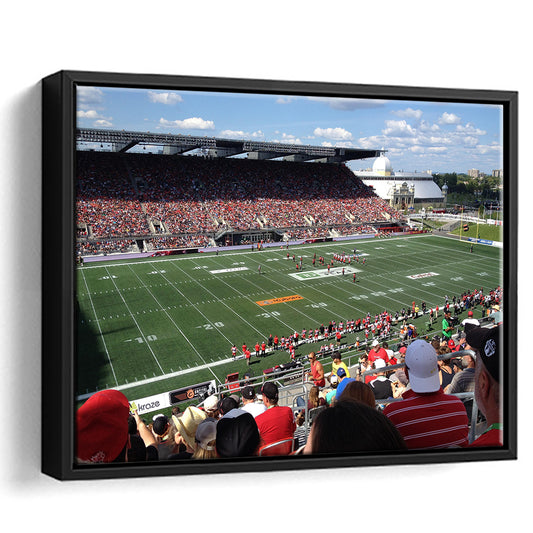 Td Stadium, Stadium Canvas, Sport Art, Framed Canvas Print Wall Art, Floating Frame
