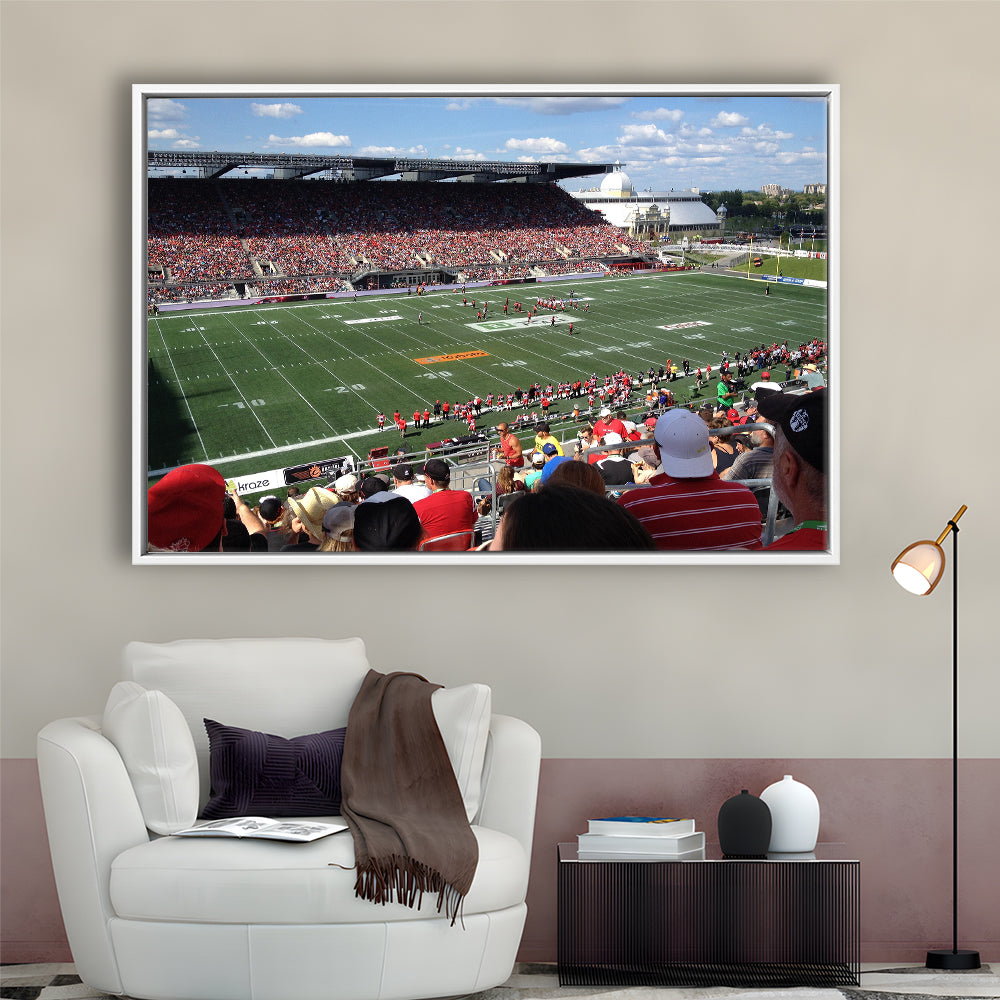Td Stadium, Stadium Canvas, Sport Art, Framed Canvas Print Wall Art, Floating Frame