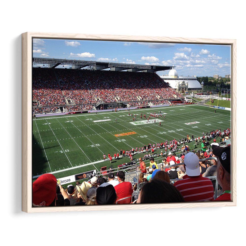 Td Stadium, Stadium Canvas, Sport Art, Framed Canvas Print Wall Art, Floating Frame
