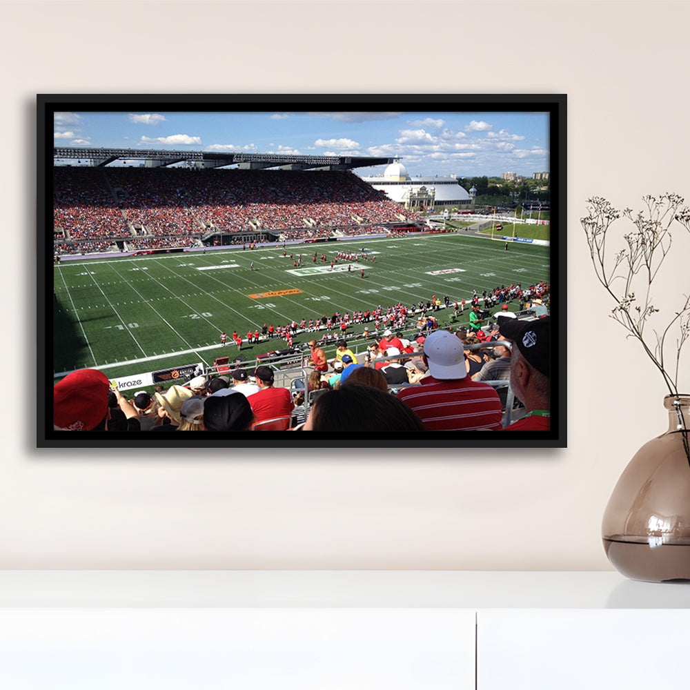 Td Stadium, Stadium Canvas, Sport Art, Framed Canvas Print Wall Art, Floating Frame