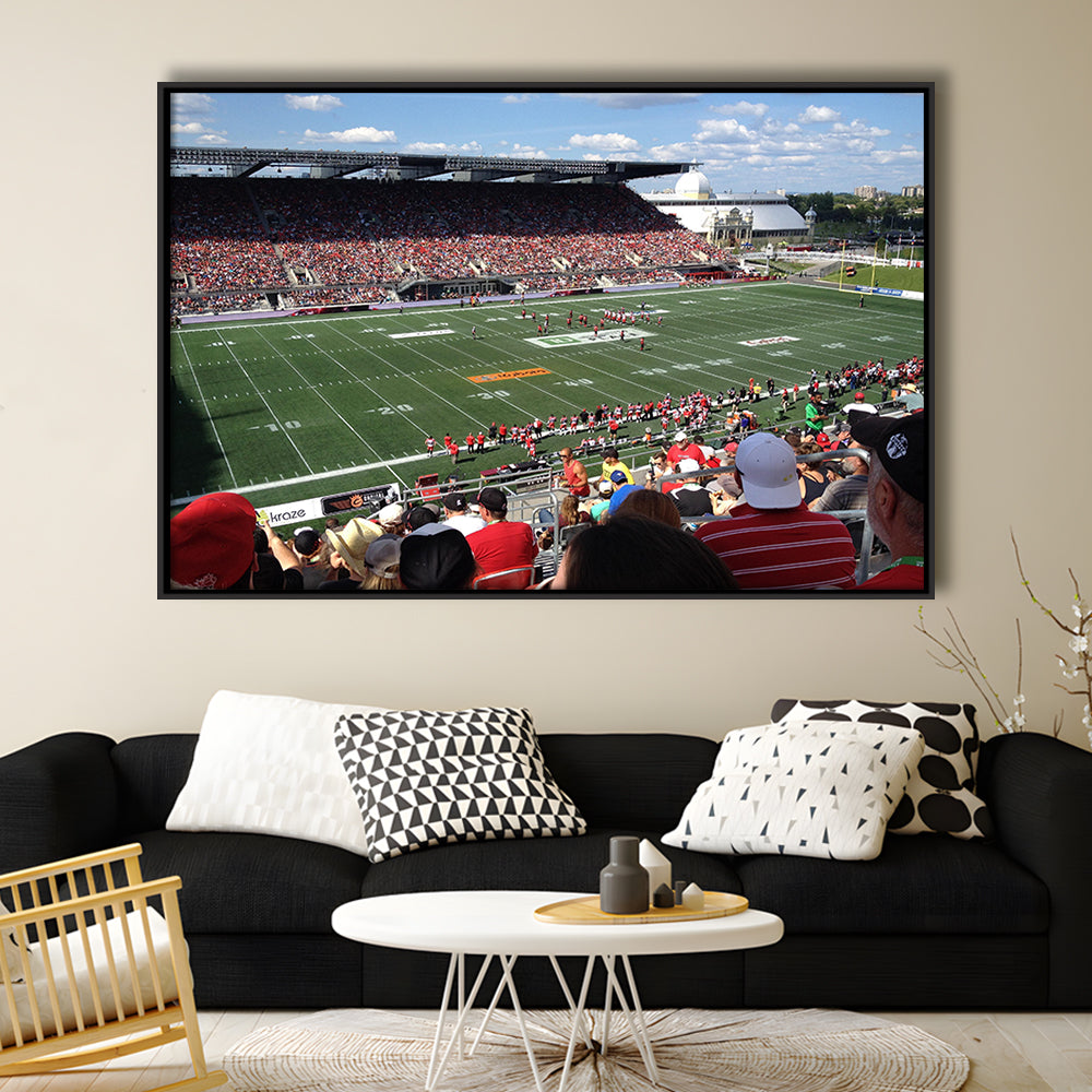 Td Stadium, Stadium Canvas, Sport Art, Framed Canvas Print Wall Art, Floating Frame