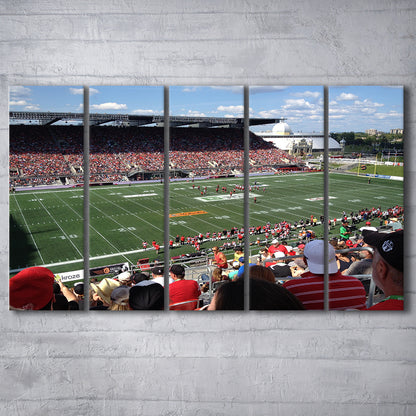 Td Stadium, Stadium Canvas, Sport Art, 5 Panel B, Extra Large Canvas, Canvas Print Wall Art