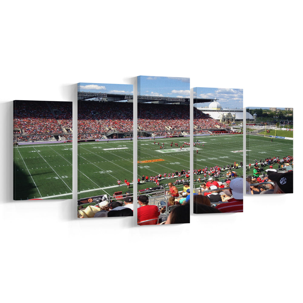 Td Stadium, Stadium Canvas, Sport Art, Gift for him, 5 Panel, Large Canvas, Canvas Print Wall Art