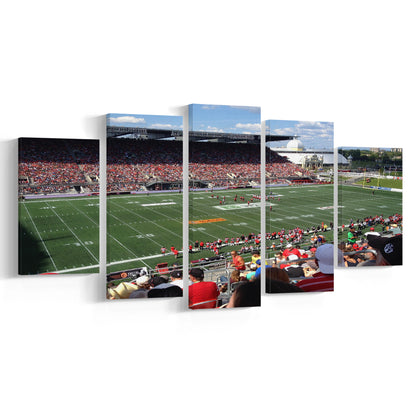 Td Stadium, Stadium Canvas, Sport Art, Gift for him, 5 Panel, Large Canvas, Canvas Print Wall Art