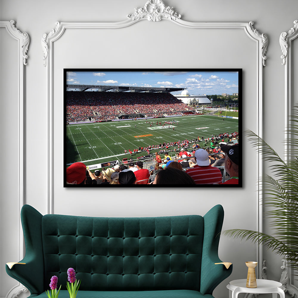 Td Stadium, Stadium Canvas, Sport Art, Gift for him, Framed Art Print Wall Decor, Picture Framed