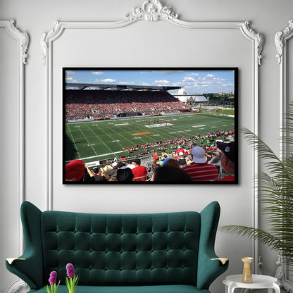 Td Stadium, Stadium Canvas, Sport Art, Gift for him, Framed Art Print Wall Decor, Picture Framed