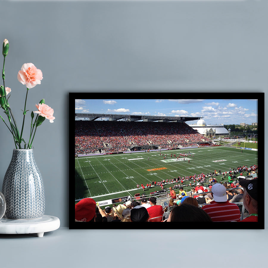 Td Stadium, Stadium Canvas, Sport Art, Gift for him, Framed Art Print Wall Decor, Picture Framed