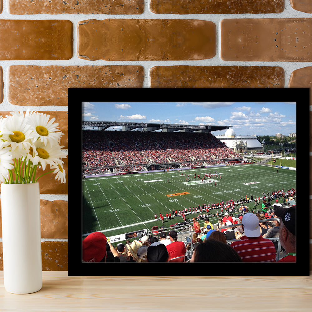 Td Stadium, Stadium Canvas, Sport Art, Gift for him, Framed Art Print Wall Decor, Picture Framed