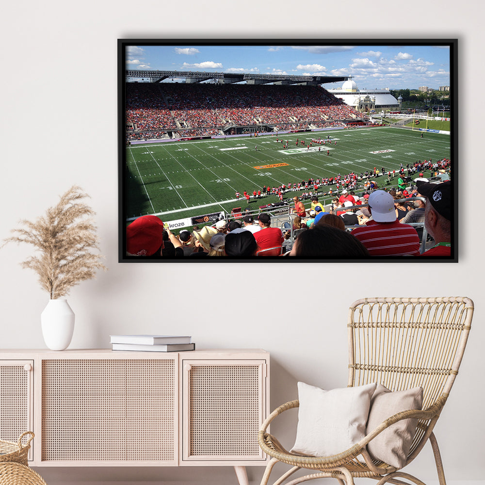 Td Stadium, Stadium Canvas, Sport Art, Framed Canvas Print Wall Art, Floating Frame