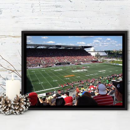 Td Stadium, Stadium Canvas, Sport Art, Framed Canvas Print Wall Art, Floating Frame