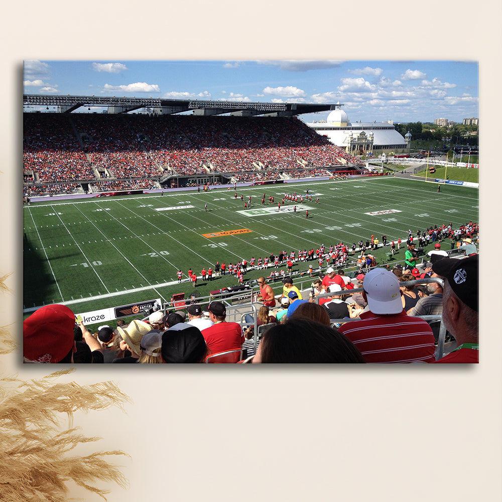 Td Stadium, Stadium Canvas, Sport Art, Gift for him, Man Cave Decor, Art Print, Canvas Print Wall Art