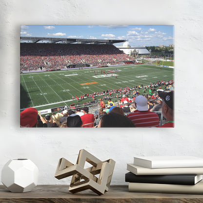 Td Stadium, Stadium Canvas, Sport Art, Gift for him, Man Cave Decor, Art Print, Canvas Print Wall Art