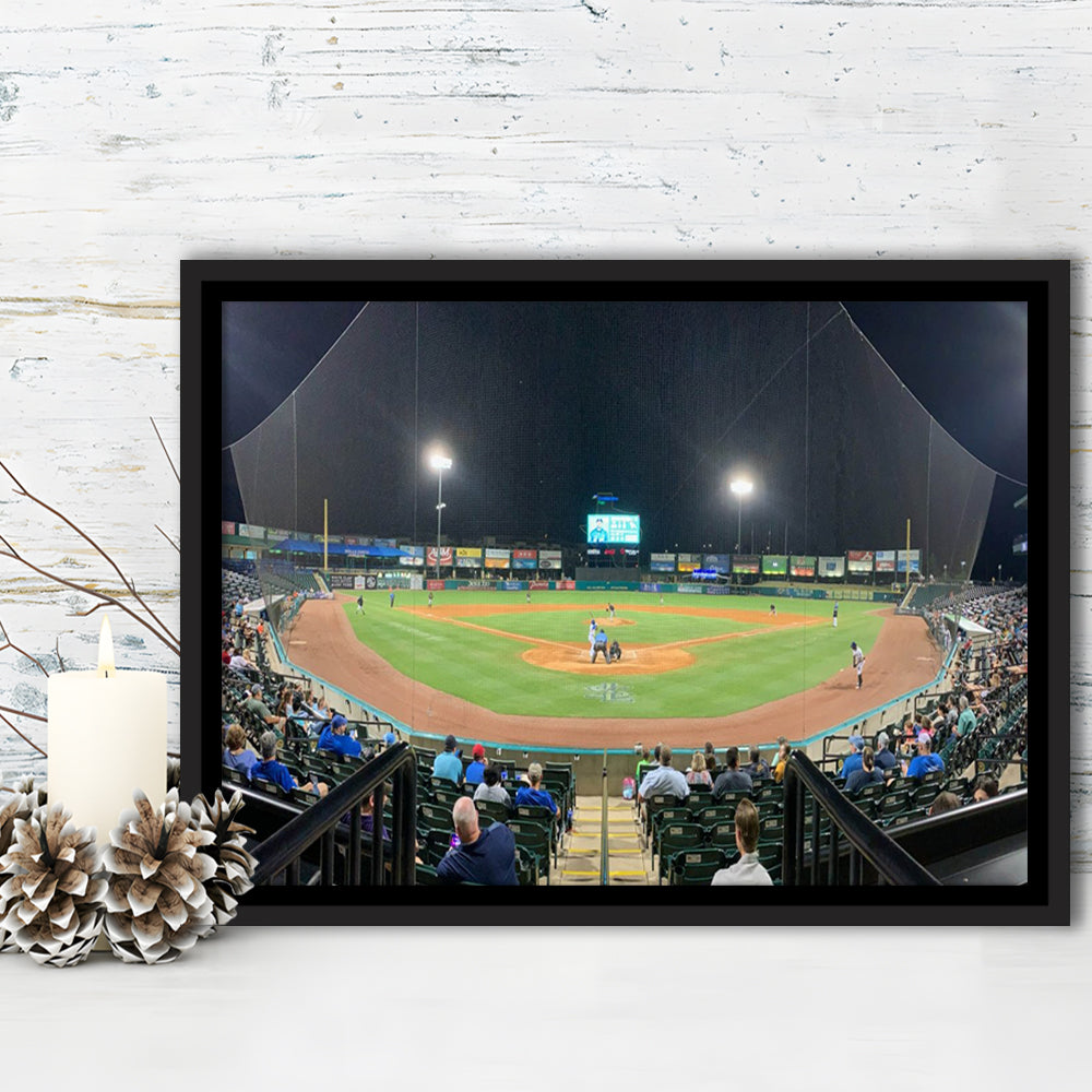 The Diamond Stadium, Stadium Canvas, Sport Art, Framed Canvas Print Wall Art, Floating Frame