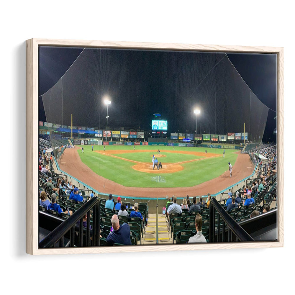 The Diamond Stadium, Stadium Canvas, Sport Art, Framed Canvas Print Wall Art, Floating Frame