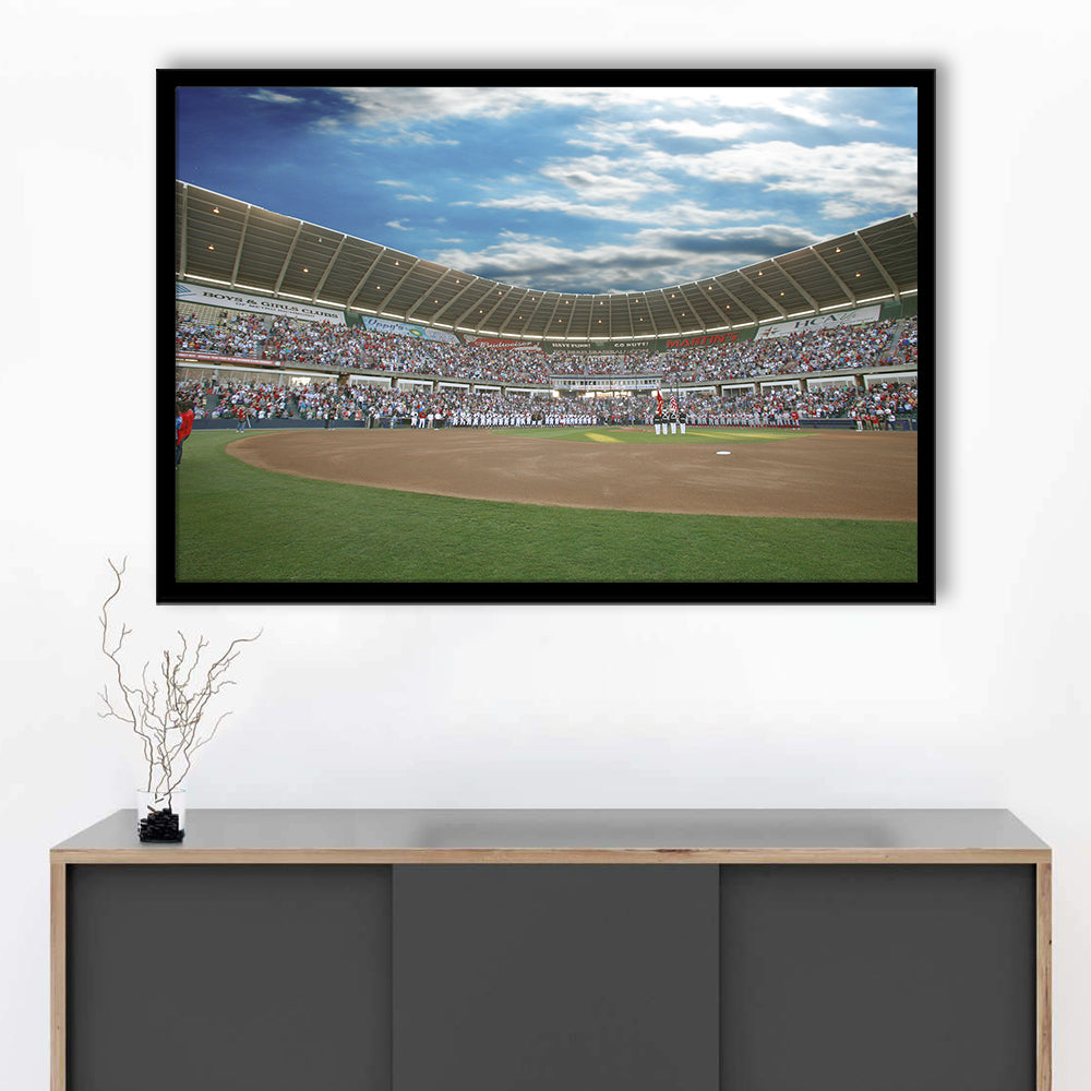 The Diamond Stadium in Virginia, Stadium Canvas, Sport Art, Gift for him, Framed Art Print Wall Decor, Picture Framed