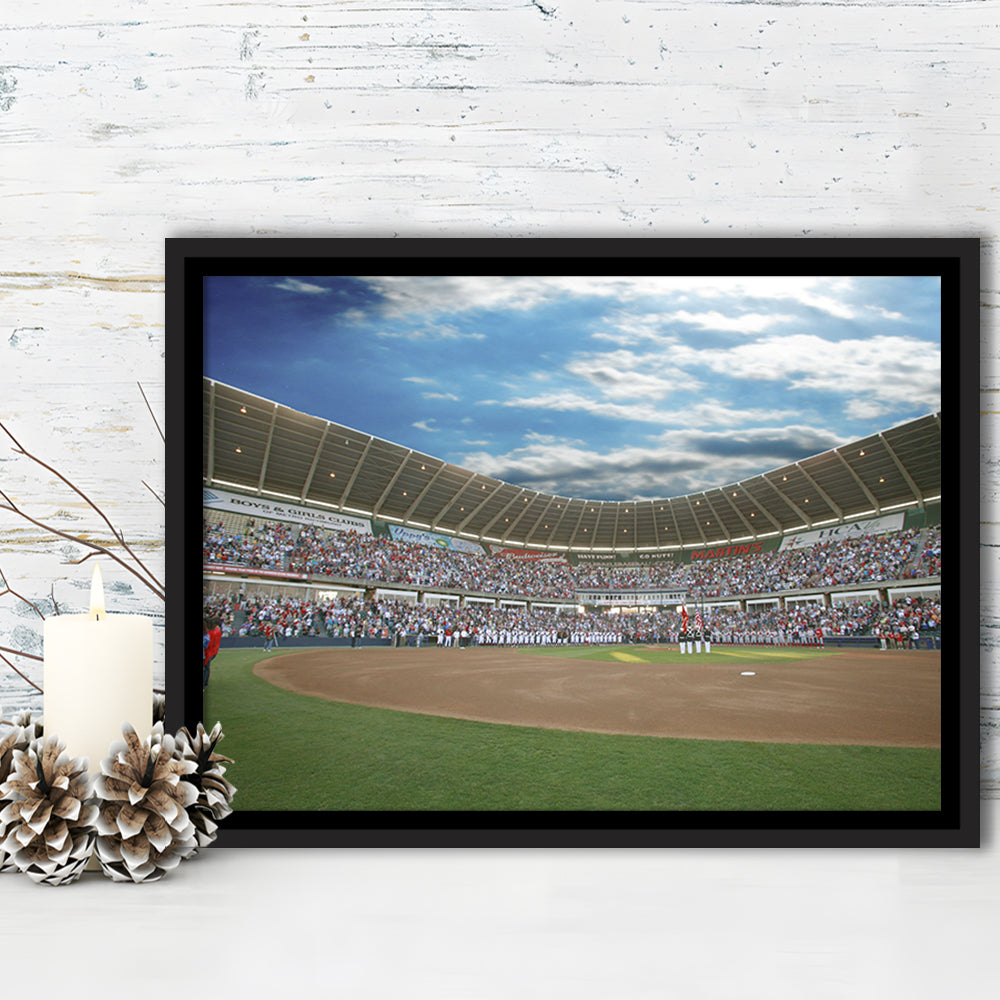 The Diamond Stadium in Virginia, Stadium Canvas, Sport Art, Framed Canvas Print Wall Art, Floating Frame
