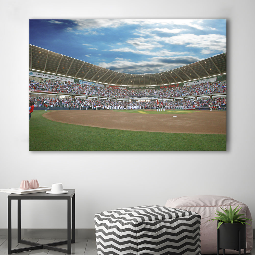 The Diamond Stadium in Virginia, Stadium Canvas, Sport Art, Gift for him, Man Cave Decor, Art Print, Canvas Print Wall Art