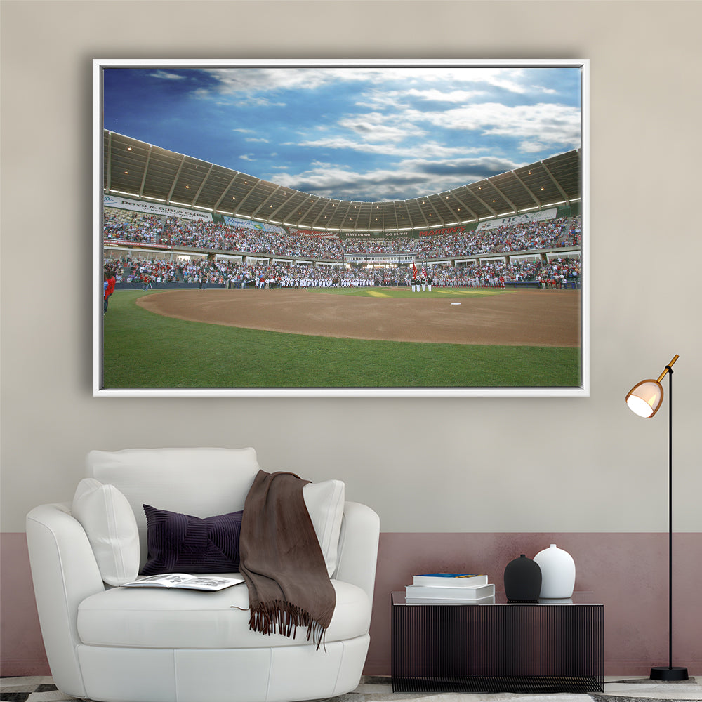 The Diamond Stadium in Virginia, Stadium Canvas, Sport Art, Framed Canvas Print Wall Art, Floating Frame