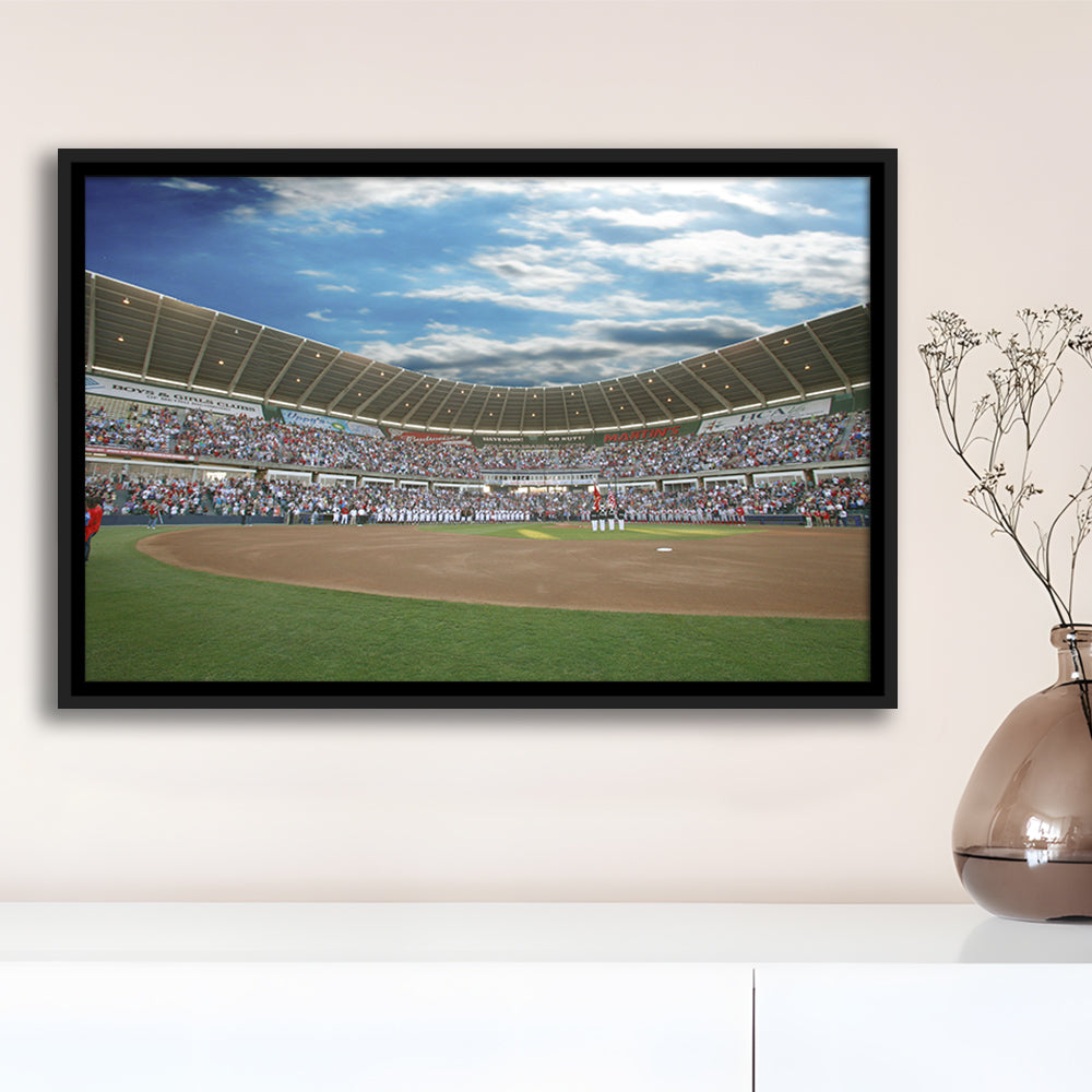 The Diamond Stadium in Virginia, Stadium Canvas, Sport Art, Framed Canvas Print Wall Art, Floating Frame