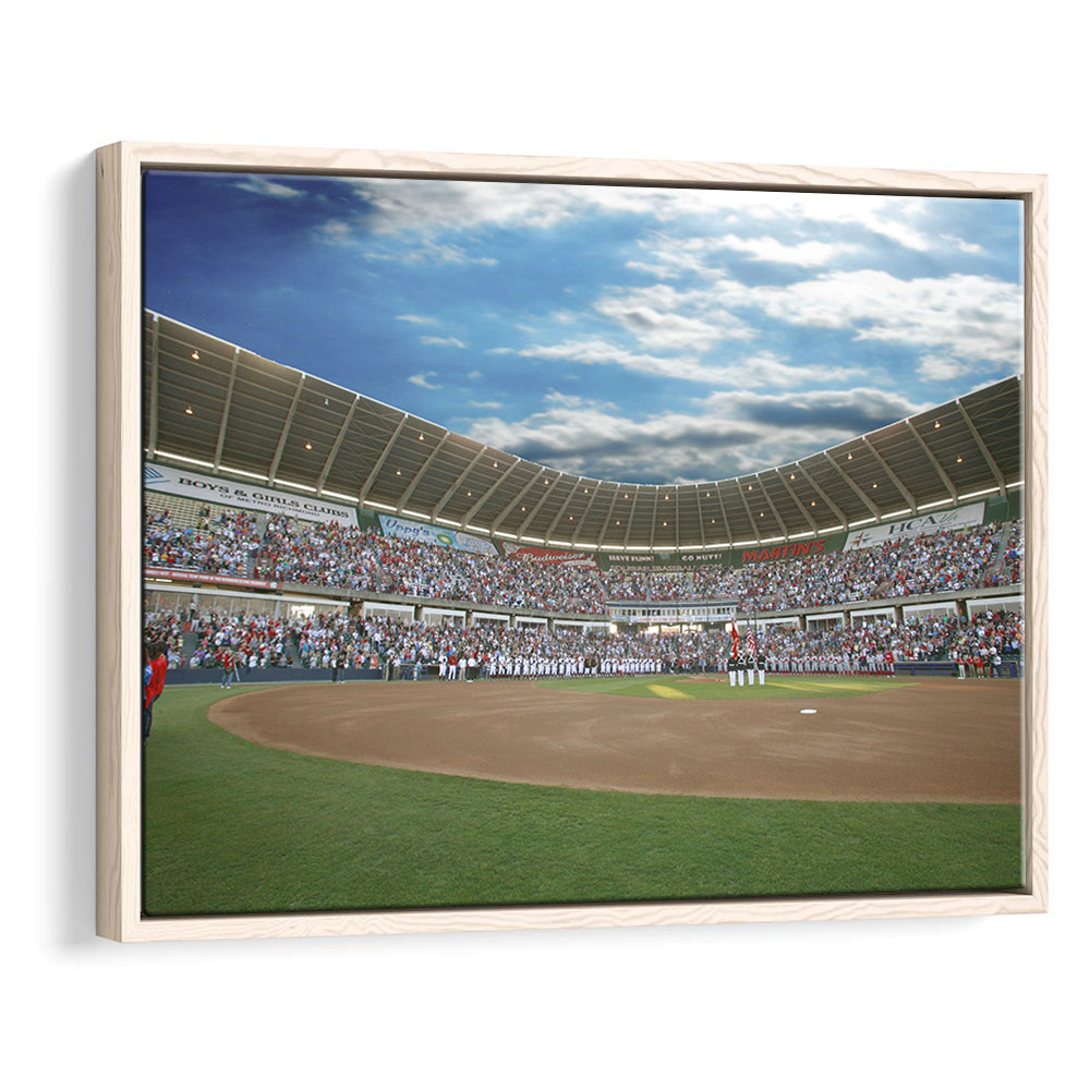 The Diamond Stadium in Virginia, Stadium Canvas, Sport Art, Framed Canvas Print Wall Art, Floating Frame